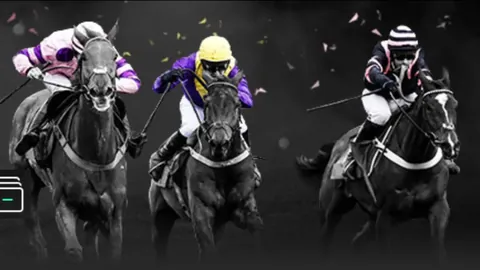 內馬爾簡歷詳述