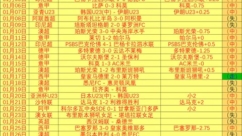 多特有意签下吉拉西：国内球员转会费不足2000万欧！